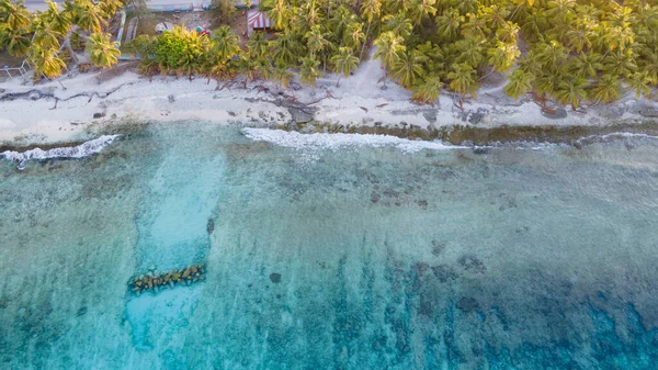Luftaufnahme Der Korallenrifflandschaft Mit Palmen Auf Der Tropischen Strandinsel Fuvahmulah — Stockfoto