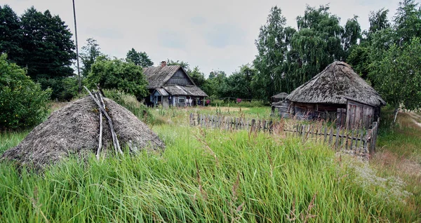 白俄罗斯共和国 布列斯特地区Pinsk区Kachanovichi村 有茅草屋顶的老房子 — 图库照片