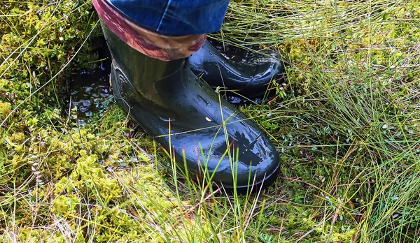 Botas de goma verde de pie sobre un musgo, el pantano — Foto de Stock