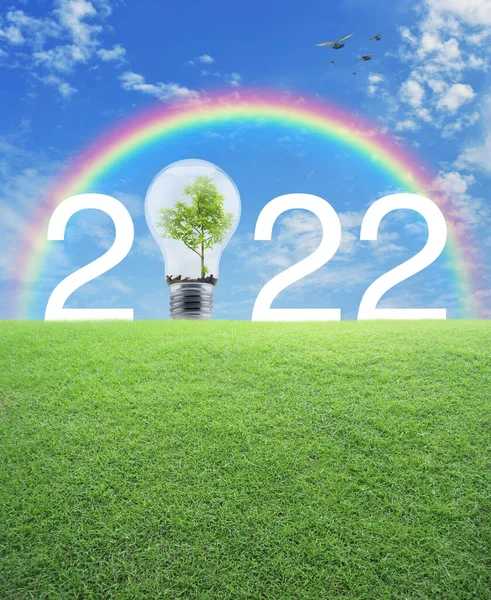2022 white text and light bulb with tree inside on green grass field over rainbow, birds and blue sky with white clouds, Happy new year 2022 ecological cover concept
