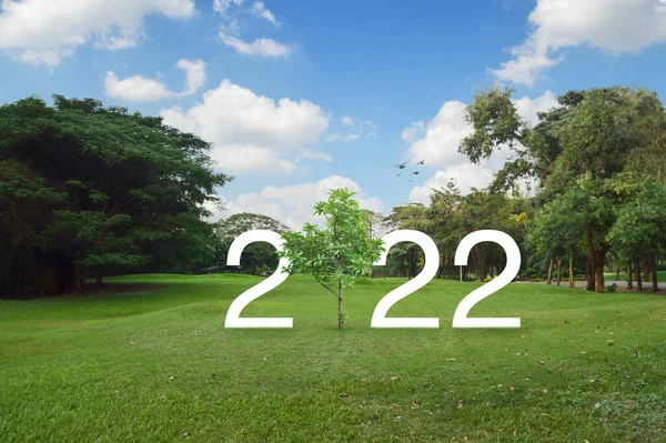 2022 Text Alb Copac Creștere Iarbă Verde Copaci Parc Public — Fotografie, imagine de stoc