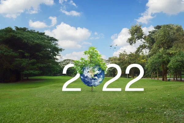 Gezegen Ağaç Yeşil Çimlerin Üzerinde 2022 Beyaz Metin Mutlu Yıllar — Stok fotoğraf