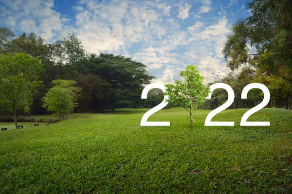2022 White Text Growing Tree Green Grass Trees Public Park — Stock Photo, Image