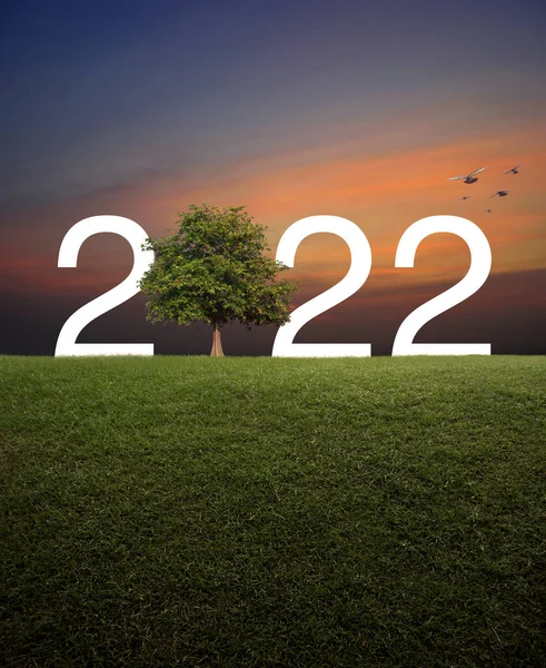 2022 Bílý Text Stromem Travnatém Poli Nad Západem Slunce Ptáky — Stock fotografie