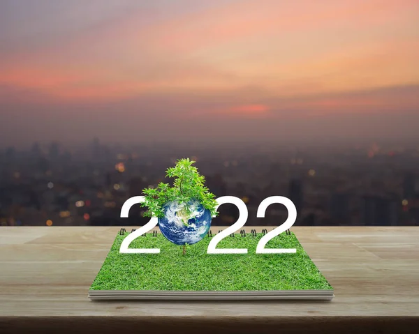 2022 Weißer Text Mit Planet Und Baum Auf Grünem Gras — Stockfoto