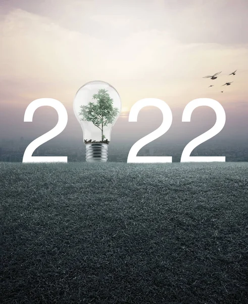 2022 Beyaz Yazı Ampul Içinde Ağaç Olan Yeşil Çimen Tarlasında — Stok fotoğraf