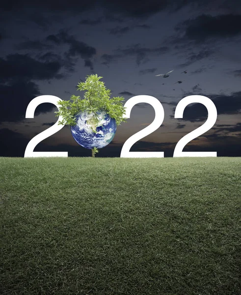 2022 White Text Planet Tree Green Grass Field Sunset Sky — Fotografia de Stock