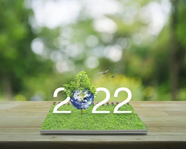 2022 Witte Tekst Met Planeet Boom Groen Gras Open Boek — Stockfoto