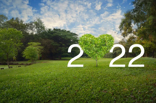 Árvore Forma Amor Coração Com 2022 Texto Branco Sobre Grama — Fotografia de Stock