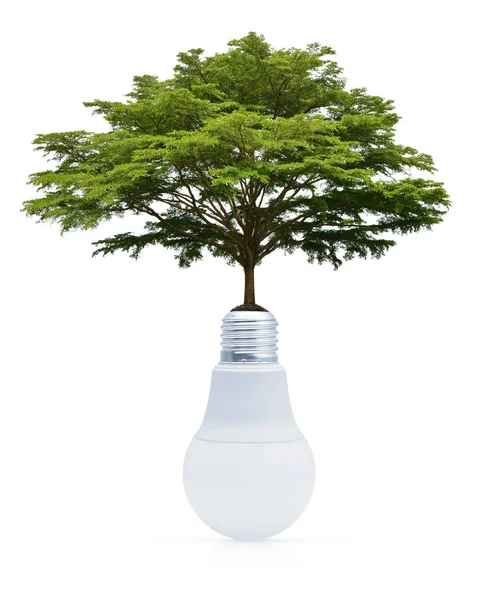 Big Green Tree Soil Light Bulb White Background Green Ecology — Stock Photo, Image