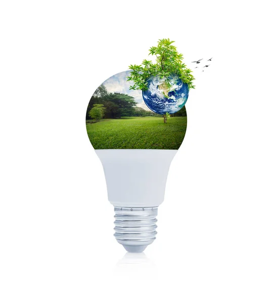 Planet Tree Green Grass Trees Park Led Light Bulb White — Stock Photo, Image