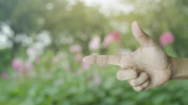 24時間オープンフラットアイコン上の指の上にぼかしピンクの花と公園の木 ビジネスフルタイムのサービスコンセプト — ストック動画