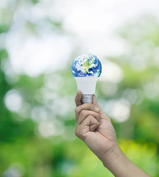 Hand Holding Earth Globe Led Light Bulb Blur Forest Green — Stock Photo, Image