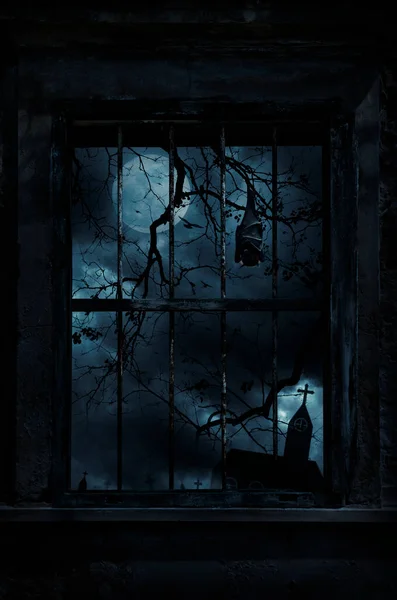 Netopýr Spánek Pověsit Mrtvý Strom Starém Poškozeném Okně Zdí Přes — Stock fotografie