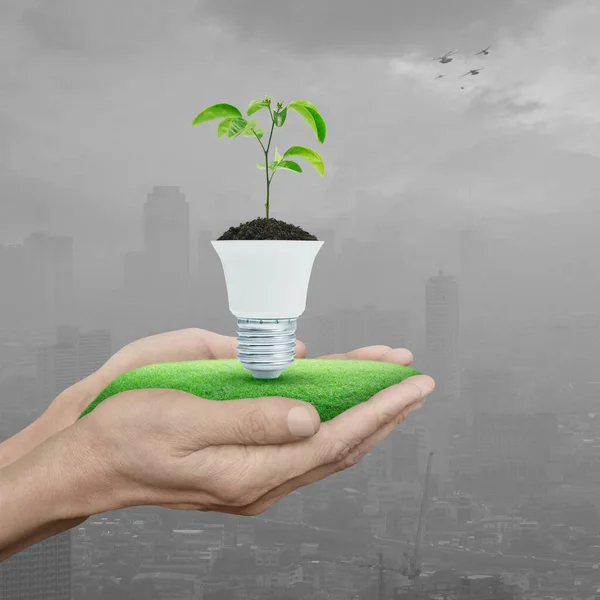 Fresh Green Tree Leaves Soil Light Bulb Hands Pollution City — Stock Photo, Image