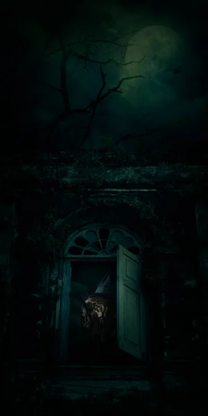Bruxa Assustadora Halloween Janela Castelo Antigo Sobre Lua Cheia Com — Fotografia de Stock