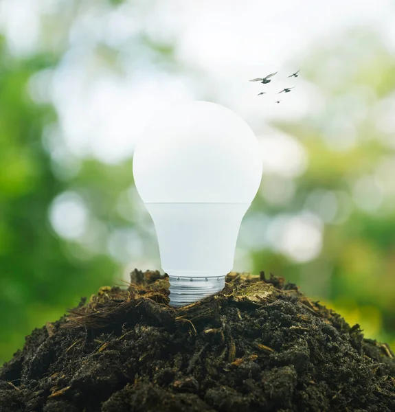 Led light bulb on soil over blur forest, Green ecology and saving energy concept