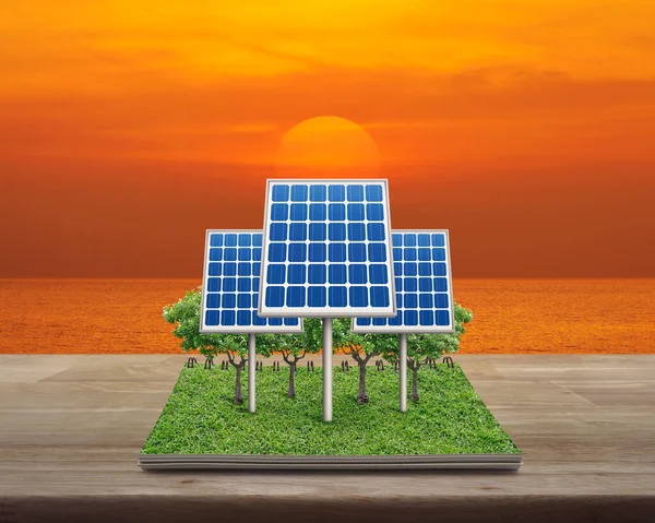 Solar cell with tree from open book on wooden table over sunset sky and sea, Business ecological concept