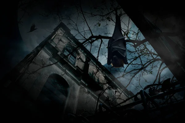 Bat Sleep Hang Dead Tree Grunge Castle Bird Fly Full — стоковое фото