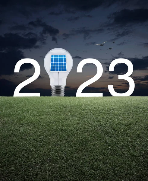2023 white text and light bulb with solar cell inside on green grass field over sunset sky with birds, Happy new year 2023 ecological cover concept