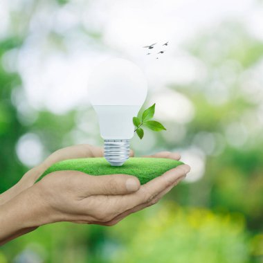Led light bulb with fresh leaves on green grass in hands over blur forest with birds, Green ecology and saving energy concept