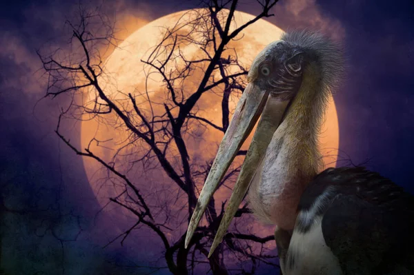 Lesser Adjutant Stork Bird Standing Dead Tree Full Moon Spooky — Stockfoto