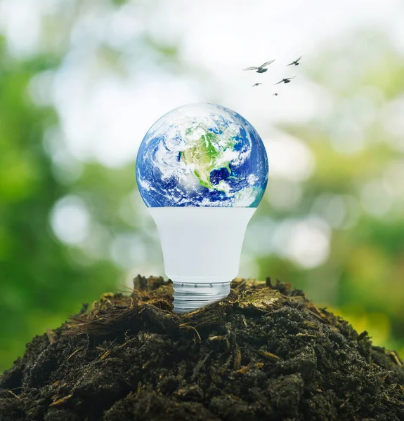 Earth globe inside led light bulb on soil over blur forest, Ecology saving power and energy concept, Elements of this image furnished by NASA