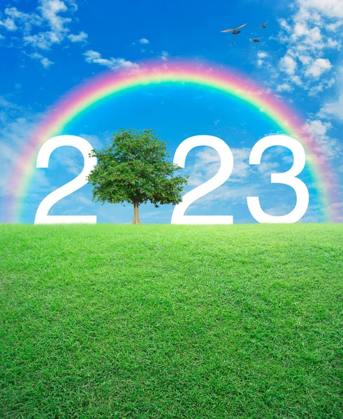 2023 Com Árvore Campo Grama Verde Sobre Arco Íris Pássaros — Fotografia de Stock