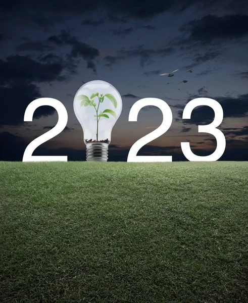 2023 white text and light bulb with small plant inside on green grass field over sunset sky with birds, Happy new year 2023 ecological cover concept