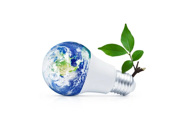 Earth Globe Led Light Bulb Fresh Green Tree Leaves Isolated — Zdjęcie stockowe