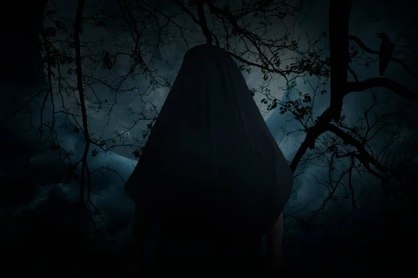 Grim Reaper Standing Dead Tree Crow Birds Full Moon Spooky — Stockfoto