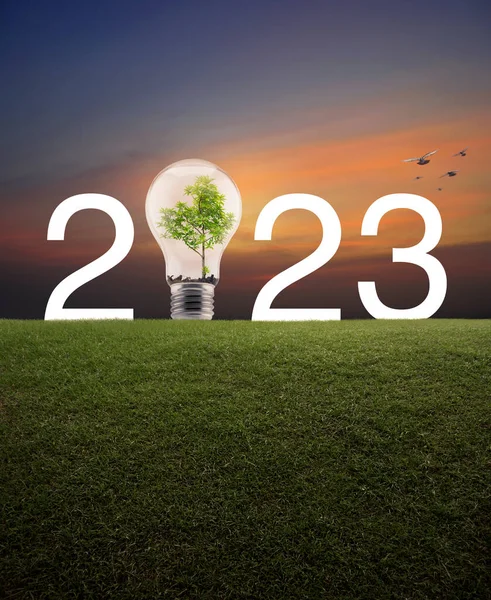 2023 Witte Tekst Gloeilamp Met Boom Binnen Groen Grasveld Boven — Stockfoto