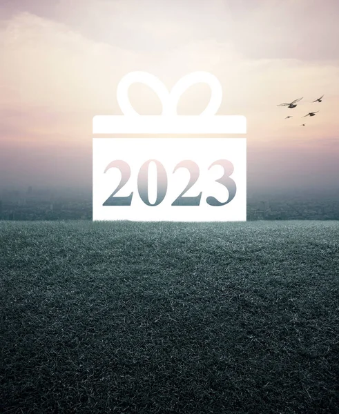 Hediye Kutusu Mutlu Yeni Yıl 2023 Yeşil Çimen Tarlasına Sahip — Stok fotoğraf