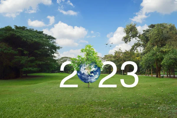 2023 Testo Bianco Con Pianeta Albero Prato Verde Parco Felice — Foto Stock