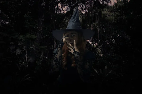 Scary halloween witch standing over dark forest and tree, Halloween mystery concept