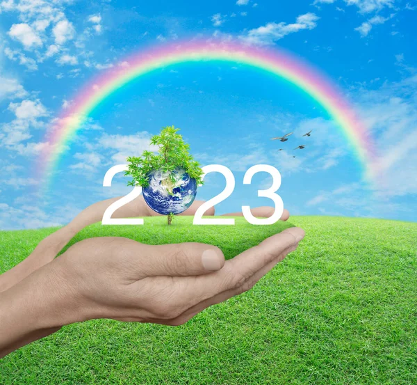 2023 Texto Blanco Con Planeta Árbol Hierba Verde Las Manos — Foto de Stock