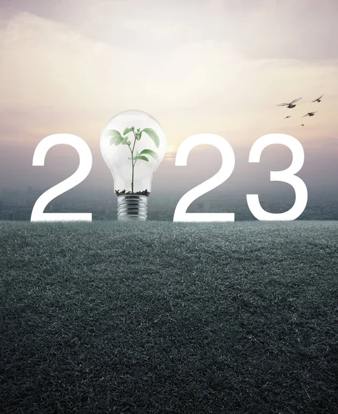 2023 Bílý Text Žárovka Malou Rostlinou Uvnitř Travnatém Poli Nad — Stock fotografie