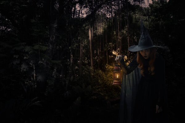 Halloween witch holding ancient lamp standing over dark forest and tree, Halloween mystery concept