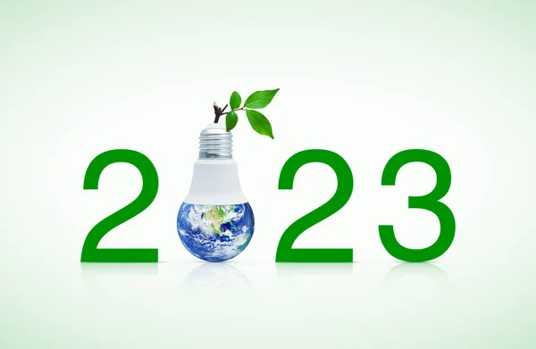 2023 Yazı Toprak Küre Kurşun Lamba Içinde Taze Yeşil Ağaç — Stok fotoğraf