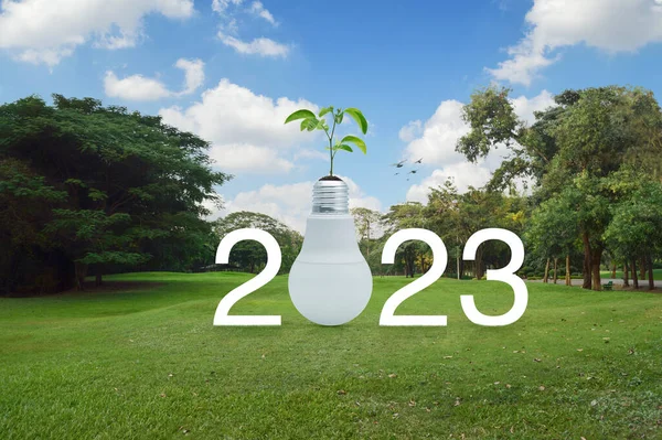 2023 Белый Текст Свежими Зелеными Листьями Деревьев Почве Свинцовой Лампочкой — стоковое фото