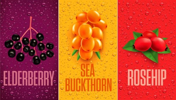 Drinken Sap Achtergrond Met Druppels Vlierbes Rose Hip Sea Buckthorn — Stockvector