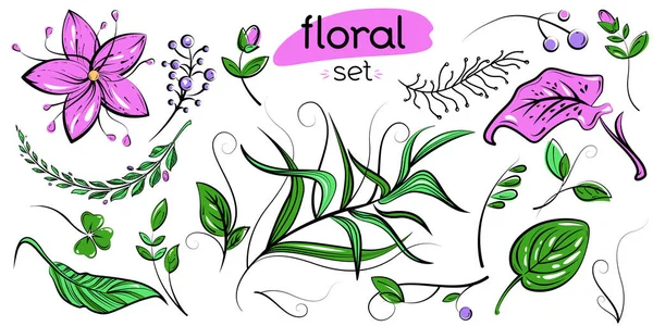 Çiçek tasarım elementlerinin vektör seti. Renkli bahar ve yaz el yapımı böğürtlen, çiçek, yaprak, dal koleksiyonu. Tebrik kartı, kitap, hatıra defteri, tekstil için karalama karikatürü dekorasyonu. 