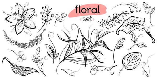 Çiçek tasarım elementlerinin vektör seti. Bahar ve yaz el yapımı böğürtlen, çiçek, yaprak, dal koleksiyonu. Tebrik kartı, kitap, hatıra defteri, tekstil için karalama karikatürü dekorasyonu. Siyah ve beyaz