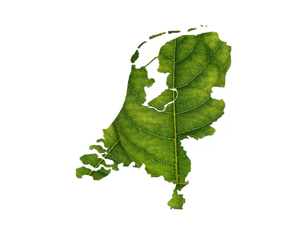 Nederlandse Kaart Gemaakt Van Groene Bladeren Bodemachtergrond Ecologisch Concept — Stockfoto