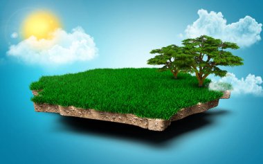 Polonya Haritası, Polonya 'nın Gerçekçi 3D Haritası Ağaç Bulutlarını Bulutlandırıyor