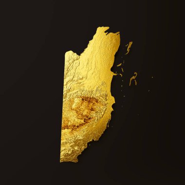 Belize Haritası Altın Metal Renk Yüksekliği Haritası 3D Görüntü