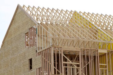 rafters and frame of the new house wall plywood
