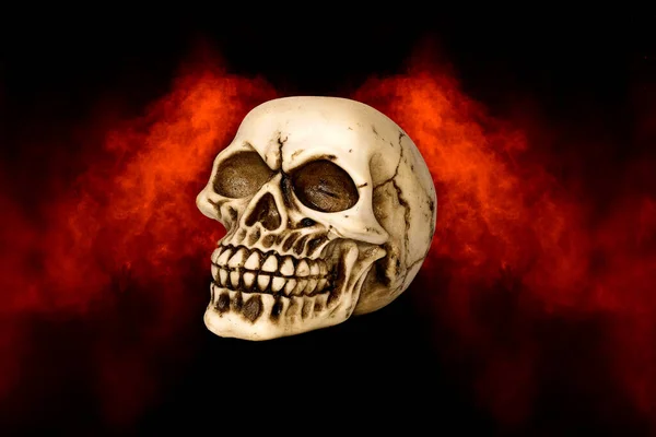Human Skull Red Black Background 스톡 사진