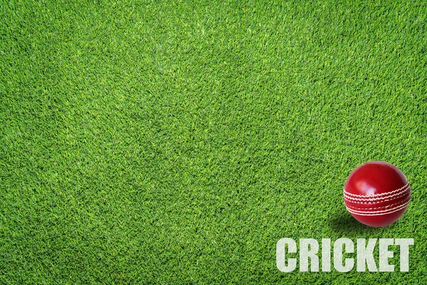 A red cricket ball on the green grass field