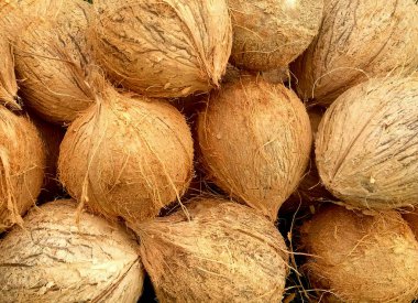 En dıştaki kapağı olmayan hindistan cevizleri